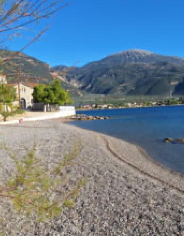 ΠΑΡΑΛΙΑ ΤΡΙΖΟΝΙΩΝ